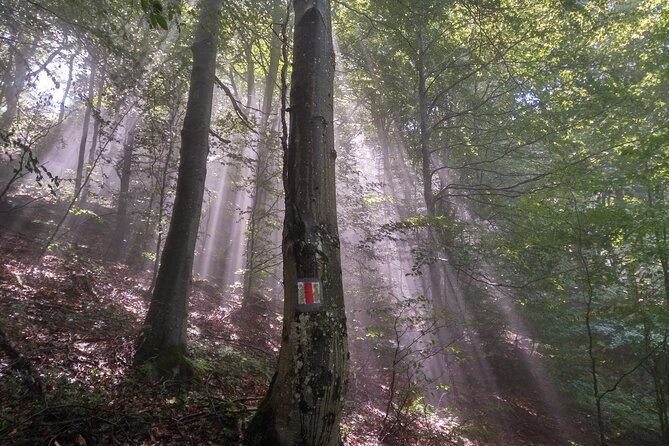 Piatra Craiului National Park Private Hiking Tour From Brasov - Additional Information and Considerations