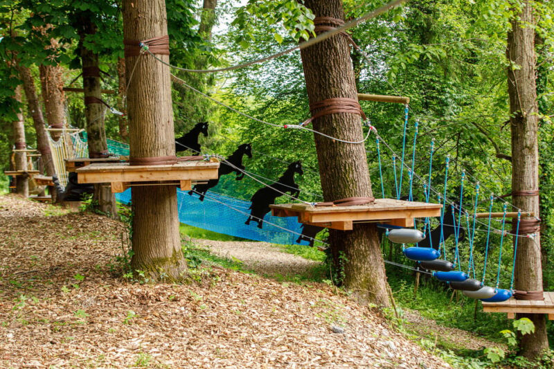 Piber: Climbing Park - Booking Information