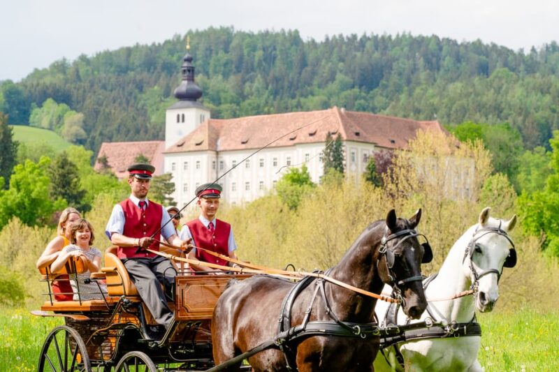 Piber: Lipizzan Stud Guided Tour - Museum and Cinema