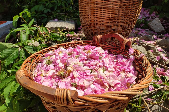 Picking Roses Workshop & Extracting Rose Oil in the Rose Valley - Visit to Rose Oil Factory
