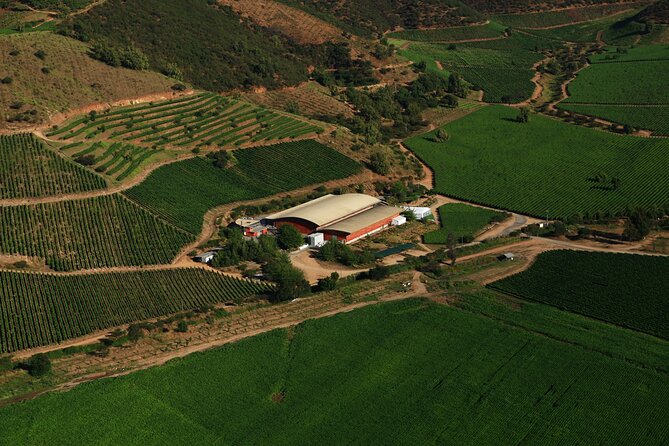 Pickup San Antonio Port Visit Chocalan Winery & Transfer to Hotel - Key Points