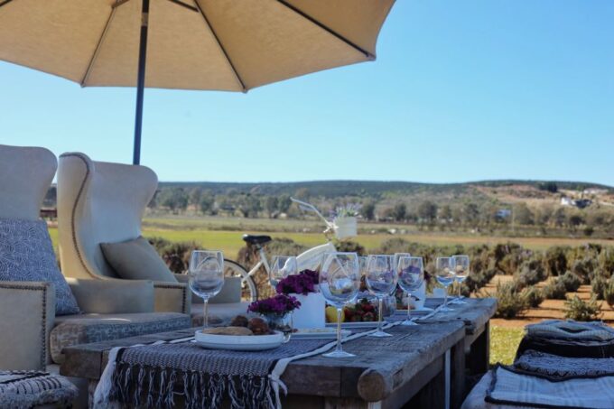 Picnic Among Lavender - Tasting Experiences