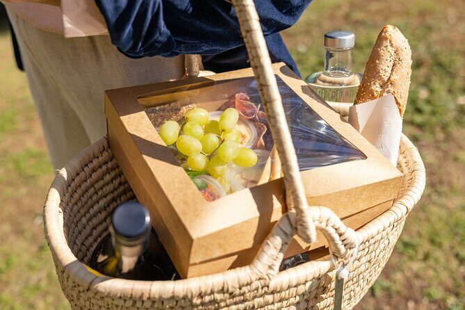 Picnic and Farm Experience at Red Hill - An In-Depth Look at the Experience
