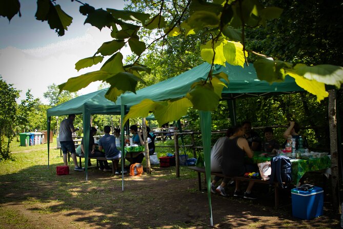 Picnic Area With Barbecue Equipment in Capranica (Vt) - Services