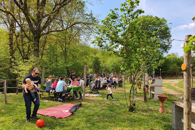 Picnic Area With Barbecue Equipment in Capranica (Vt) - Booking Confirmation and Cancellation