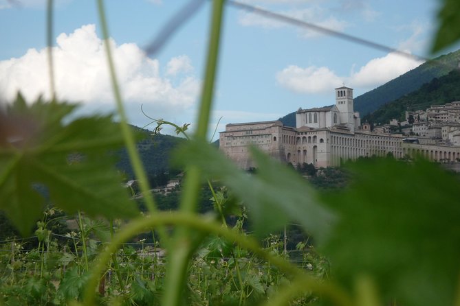 Picnic Deluxe Assisi for 2 and Wine Tasting 5 Wines - Discover Assisi Wines Through Tasting