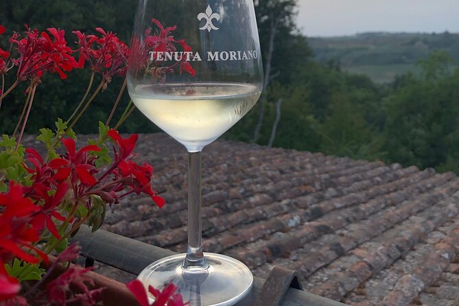 Picnic in the Countryside in the Heart of Chianti - Review Highlights