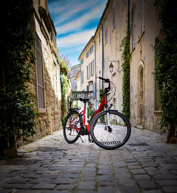 Picnic in the Middle of a Vineyard by E-Bike - Key Points