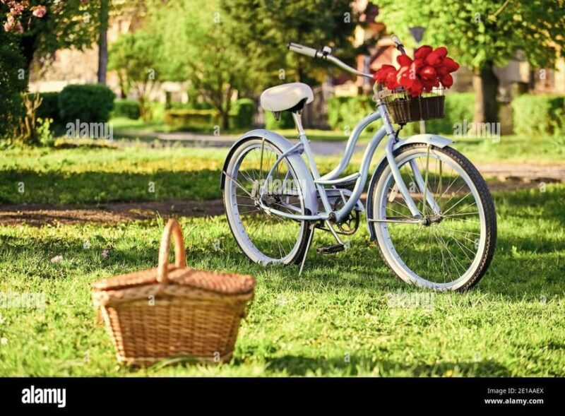 Picnic in the Middle of a Vineyard by E-Bike - Inclusions and Restrictions