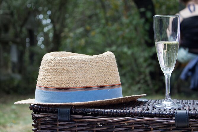 Picnic in the Vineyard on the Slopes of Vesuvius - Uncovering the Secrets of Vesuvius