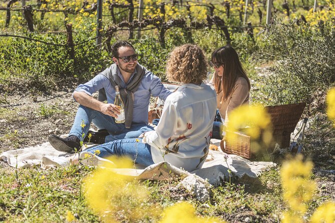 Picnic in the Vineyards - Preparing for the Experience