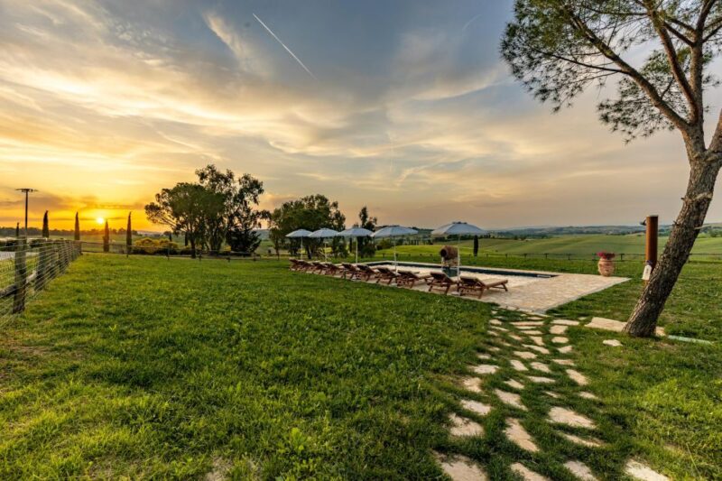 Picnic in Vineyards With a Bottle of Rosso Di Montalcino - Picnic Basket Contents and Presentation