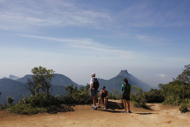 Pico Da Tijuca Hiking Tour in Tijuca Forest National Park - Exploring Tijuca National Park