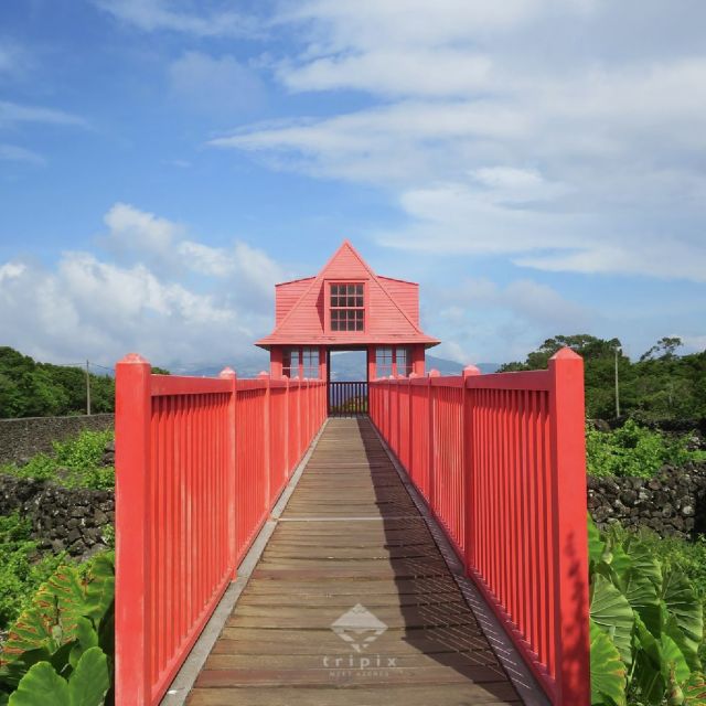 Pico Day Tour: Get to Know Pico Island With a Local Guide - Scenic Drive and Sightseeing