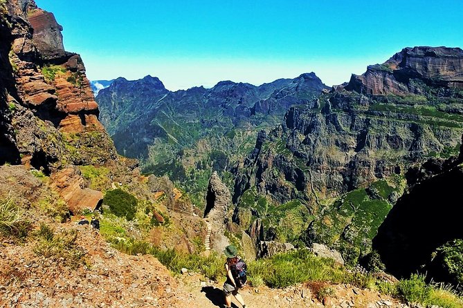Pico Do Areeiro to Ruivo - Pr1 Hiking Tour. - Local Flora and Fauna