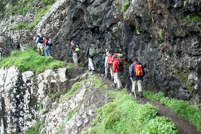 Pico Do Arieiro - Pico Ruivo - Achada Do Teixeira Walk - Insights From the Local Guide