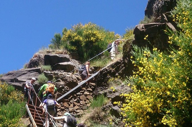 Pico Do Arieiro - Pico Ruivo - Achadas Do Teixeira[Directions TRANSLATED INTO English]:You Are a Translator Who Translates INTO English. Repeat the INPUT TEXT but in English.[Input TEXT TRANSLATED INTO English]:Pico of Arieiro - Pico Ruivo - Achadas of Teixeira - Navigating the Mountain Tunnels