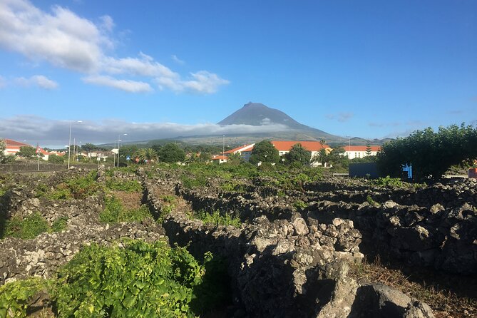 Pico Girl Power Wine Tasting and Cultural Experience - Booking and Cancellation