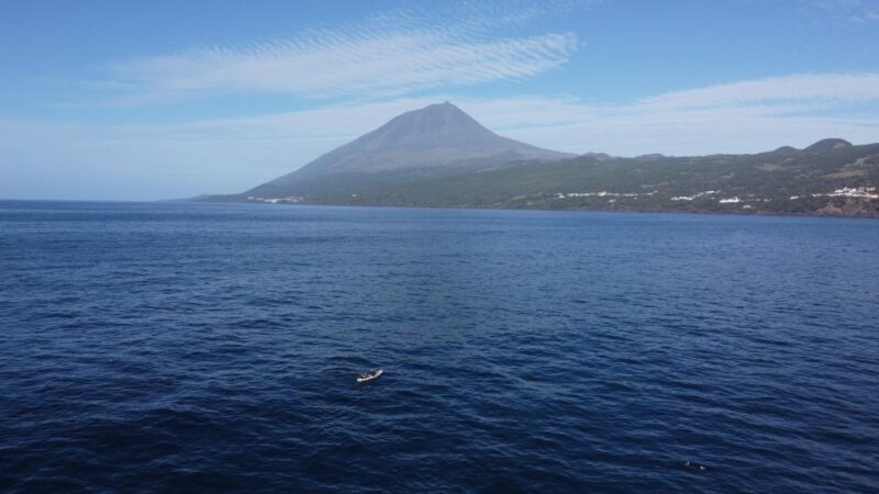 Pico Island, Azores: Guided Kayak and Snorkel Tour - Activities
