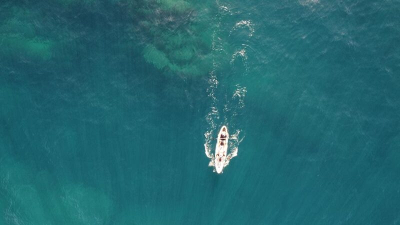 Pico Island, Azores: Guided Kayak and Snorkel Tour - Frequently Asked Questions