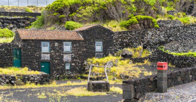 Pico Island: Full Day Wine Culture Tour - Important Information for Guests