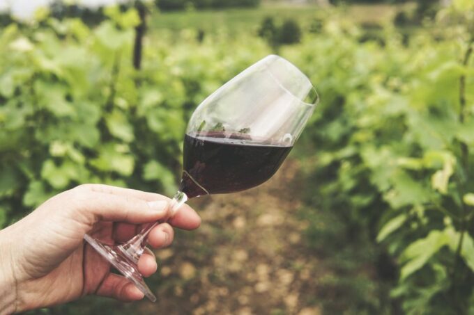 Pico Island: Full Day Wine Culture Tour - Frequently Asked Questions