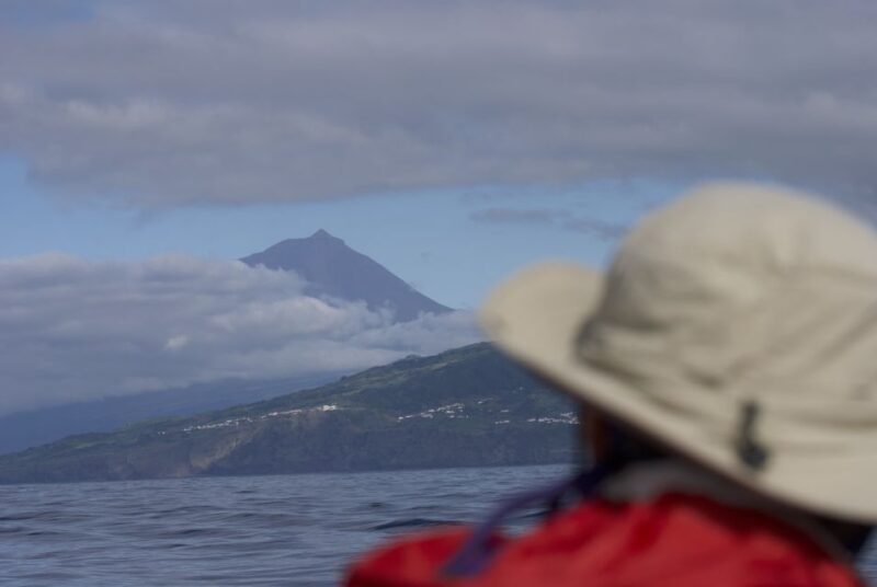 Pico Island: Whale Watching Experience From Lajes - Customer Ratings and Feedback