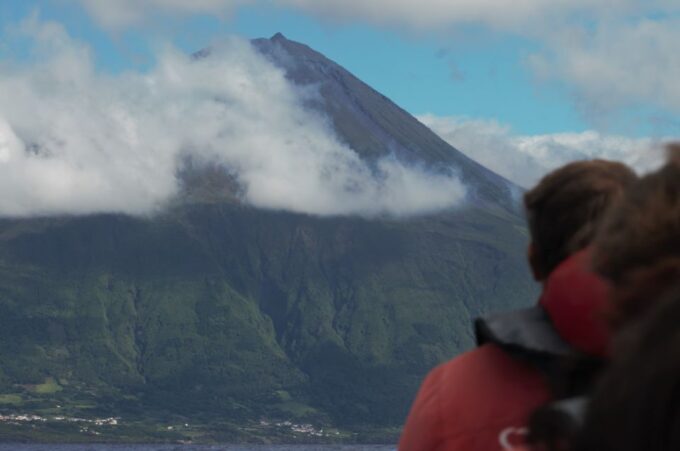 Pico Island: Whale Watching Experience From Lajes - Health Considerations