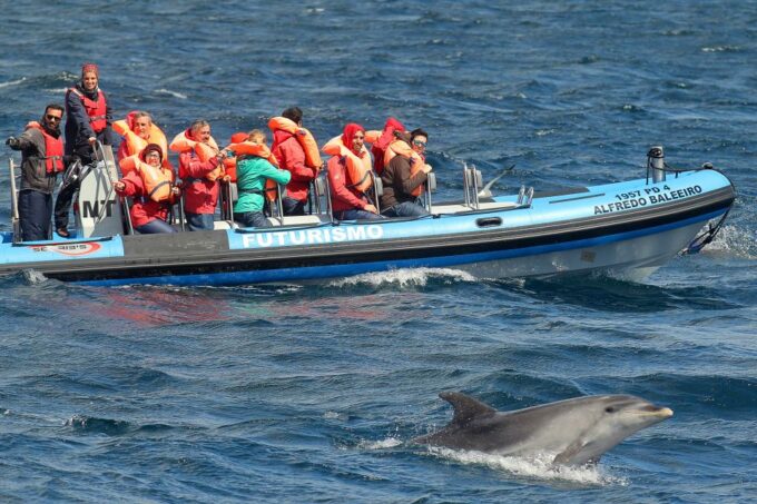 Pico Island: Whale Watching Experience From Lajes - Frequently Asked Questions
