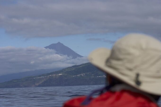 Pico Island: Whale Watching Experience From Lajes - Accessibility and Suitability