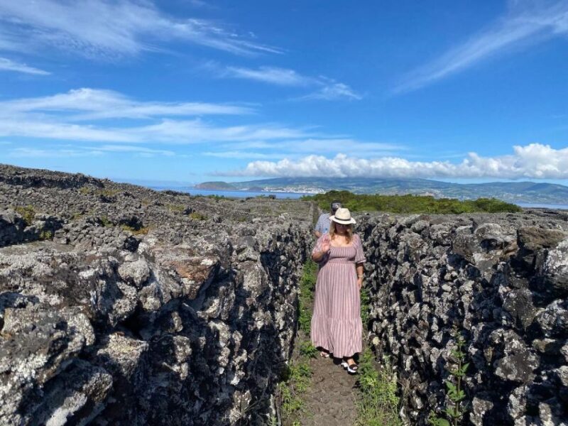 Pico Island: Wine Tasting, Independent Producers & Culture - Included Services