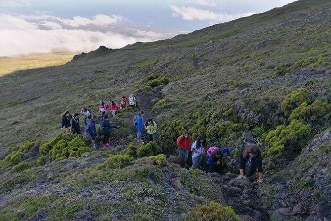 Pico Mountain - Group> 4 - Participant Requirements