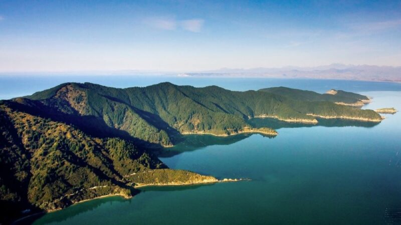 Picton and Marlborough Sounds: Seafood Odyssea Cruise - Meeting Point and Arrival