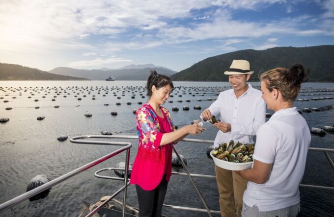 Picton and Marlborough Sounds: Seafood Odyssea Cruise - Customer Feedback