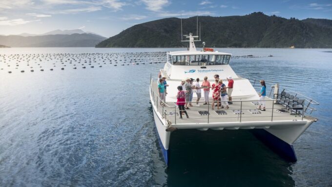 Picton and Marlborough Sounds: Seafood Odyssea Cruise - Service and Organization