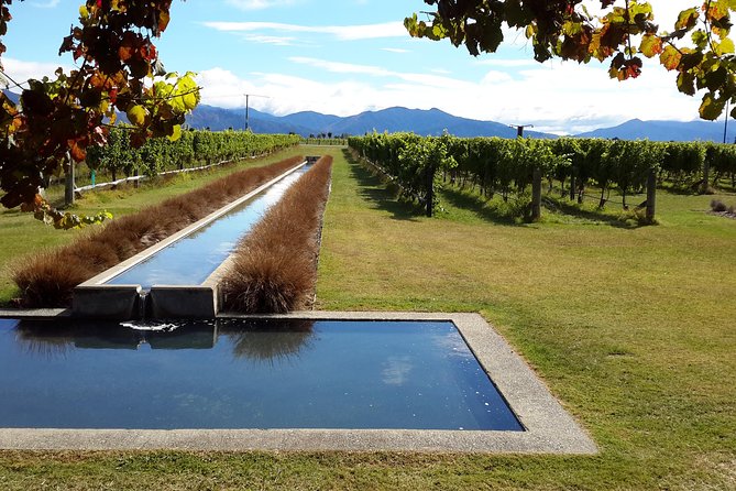 Picton CRUISE SHIP Shore Excursion Marlborough Wine Tour - Suitability for Travelers