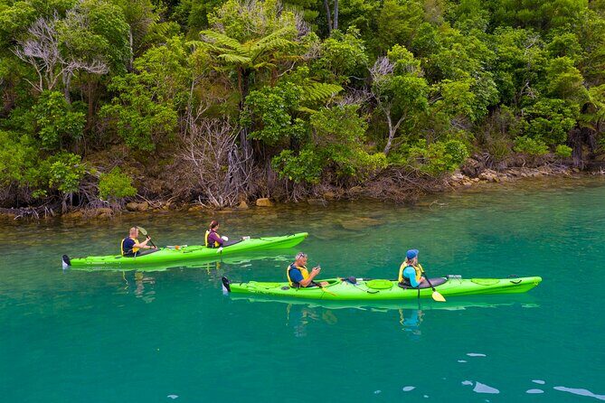 Picton Morning Guided Kayak with Afternoon Boat Cruise Tour - The Value of the Experience
