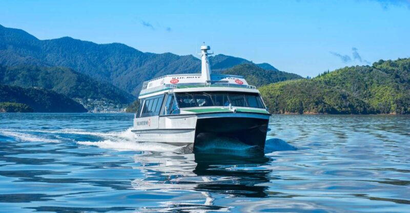 Picton: Queen Charlotte Sounds Sightseeing Cruise - Pricing and Booking Details