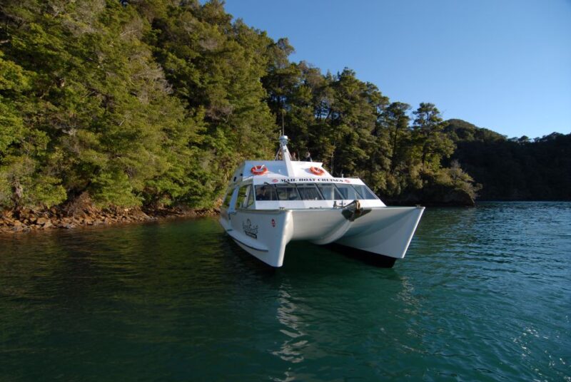 Picton: Queen Charlotte Sounds Sightseeing Cruise - Accessibility and Suitability