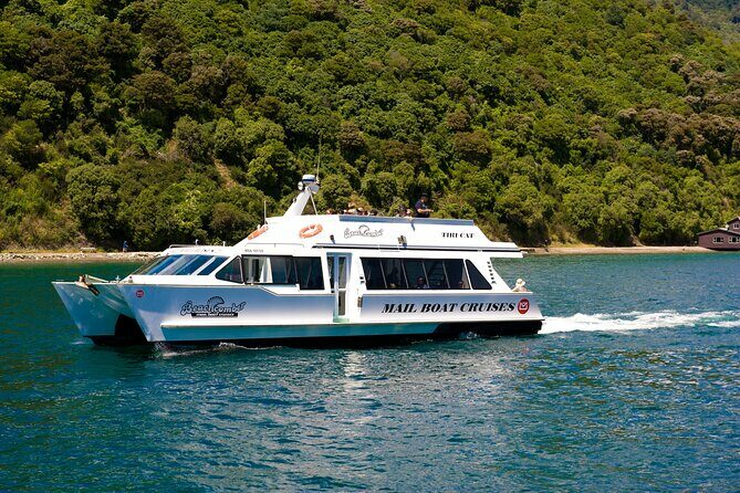 Picton Shore Excursion Kaipupu Sanctuary Water Taxi - An In-Depth Look at the Kaipupu Sanctuary Water Taxi Tour