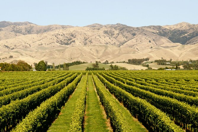 Picton Shore Excursion Marlborough Wine Region Small-Group Tour - Tour Details