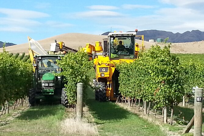 Picton Shore Excursion Marlborough Wine Region Small-Group Tour - Accessibility Features