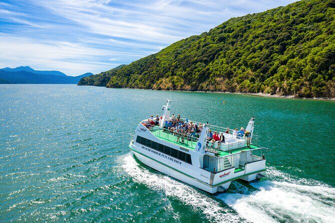 Picton Shore Excursion Queen Charlotte Sound Cruise - Discovering the Queen Charlotte Sound