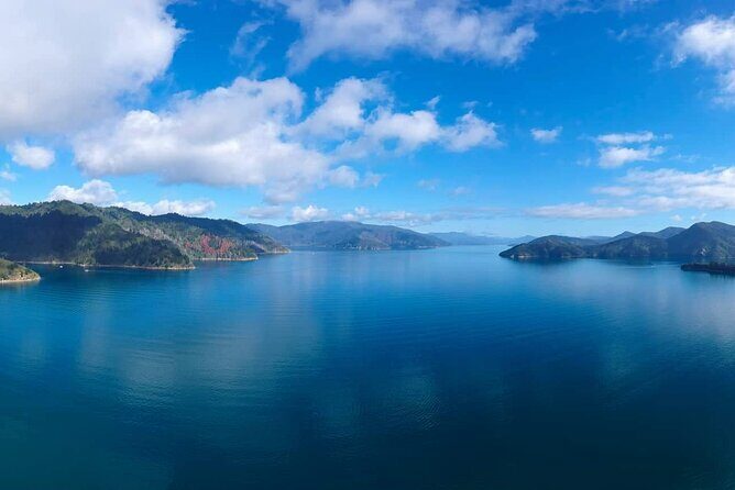 Picton Shore Excursion Queen Charlotte Sound Cruise - The Sum Up