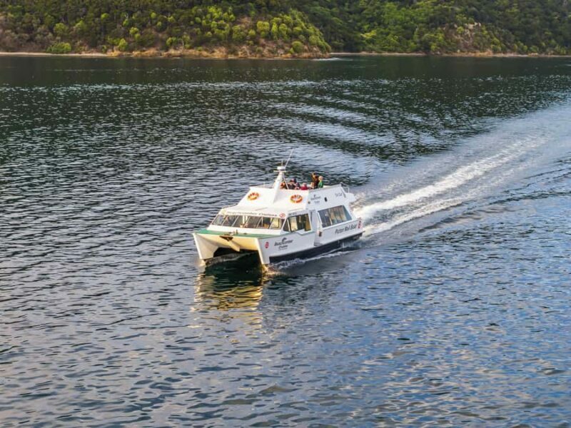 Picton Shore Excursion: Queen Charlotte Sounds Cruise - Key Points