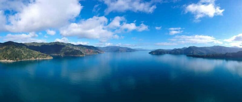 Picton Shore Excursion: Queen Charlotte Sounds Cruise - Practical Tips for Your Cruise