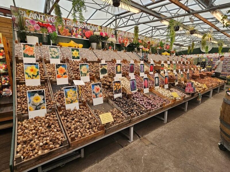 Picture Perfect Amsterdam: A Photo Tour Experience - Key Points