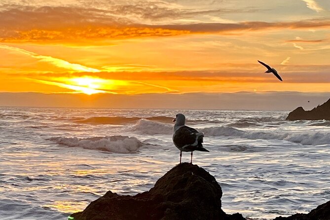 Picture Your Best SF Tour Ever! (Epic Bay Area Photo Adventures) - Tailor Your Adventure for Any Fitness Level