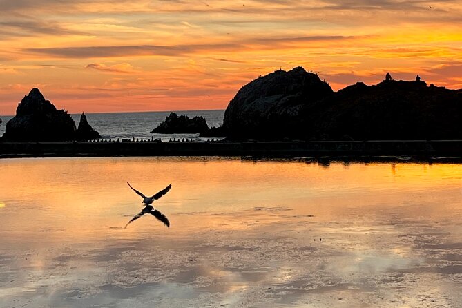 Picture Your Best SF Tour Ever! (Epic Bay Area Photo Adventures) - Embrace Flexible Transportation Options