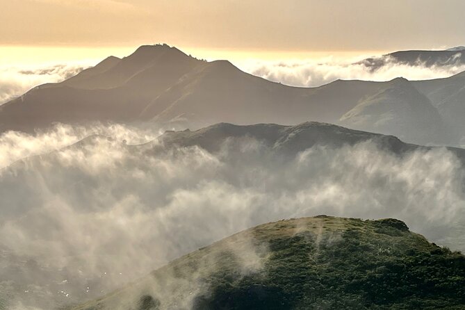 Picture Your Best SF Tour Ever! (Epic Bay Area Photo Adventures) - Enjoy Personalized Guidance and Support